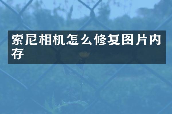 索尼相机怎么修复图片内存
