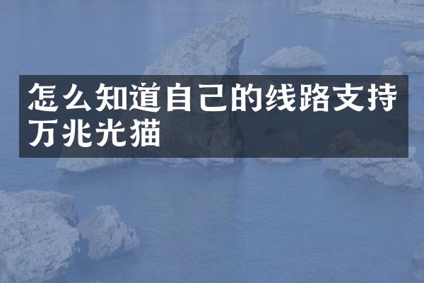 怎么知道自己的线路支持万兆光猫