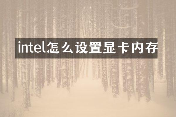 intel怎么设置显卡内存