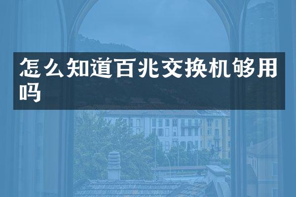 怎么知道百兆交换机够用吗