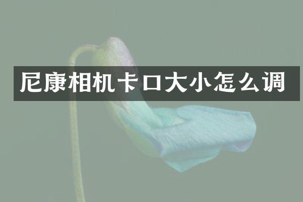 尼康相机卡口大小怎么调