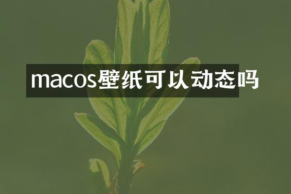 macos壁纸可以动态吗