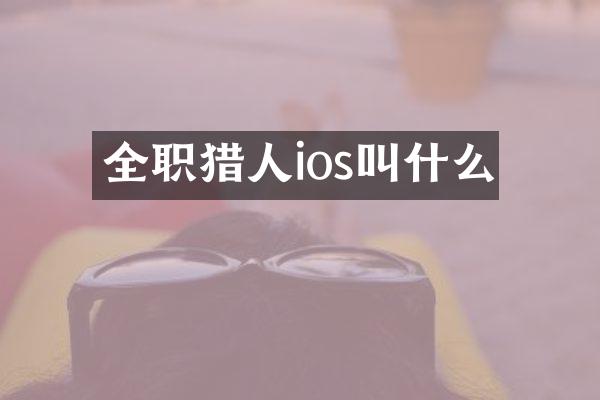 全职猎人ios叫什么