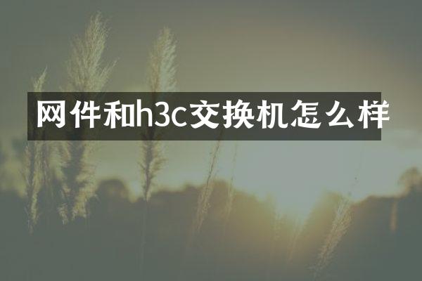网件和h3c交换机怎么样