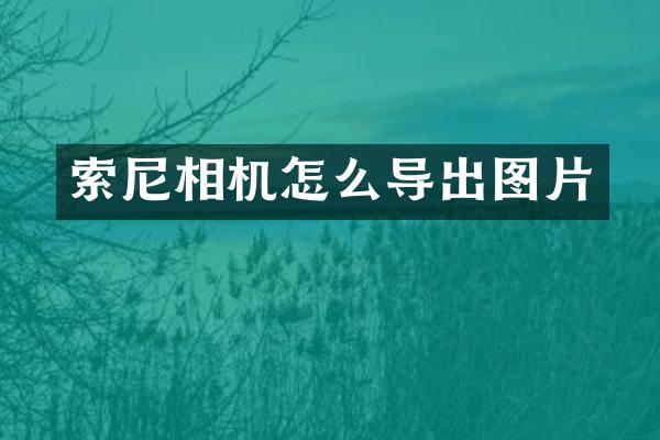索尼相机怎么导出图片
