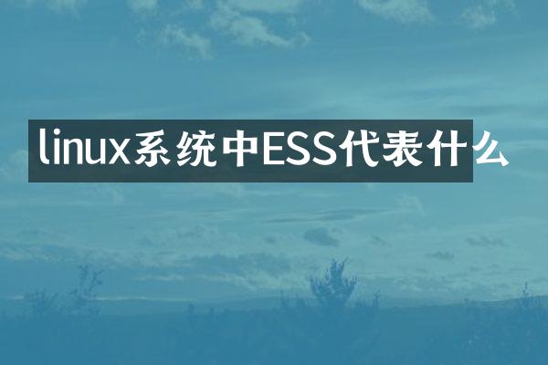 linux系统中ESS代表什么
