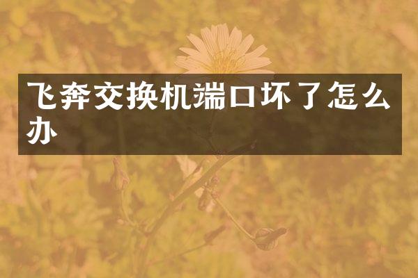 飞奔交换机端口坏了怎么办