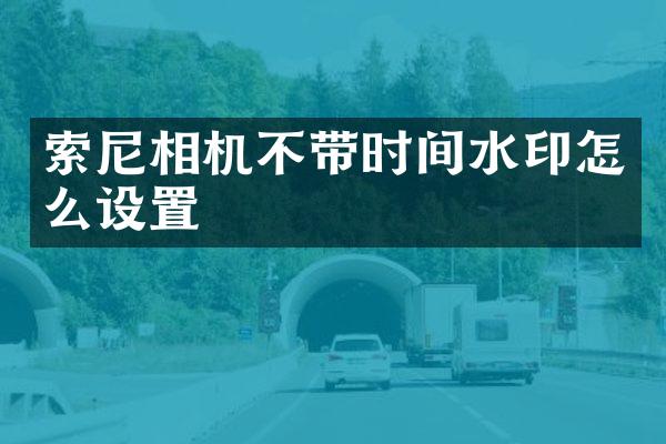 索尼相机不带时间水印怎么设置