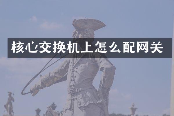 核心交换机上怎么配网关