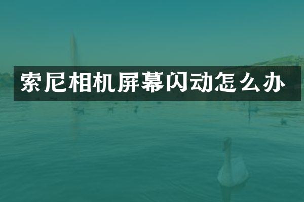 索尼相机屏幕闪动怎么办