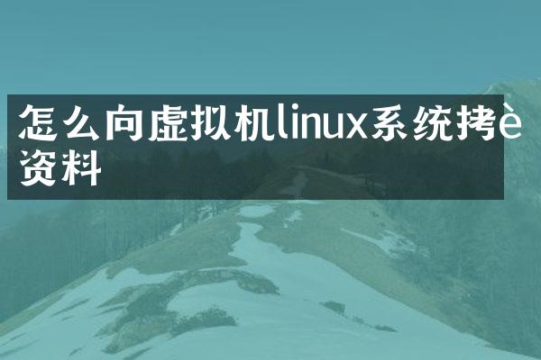 怎么向虚拟机linux系统拷贝资料