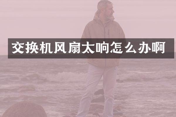 交换机风扇太响怎么办啊