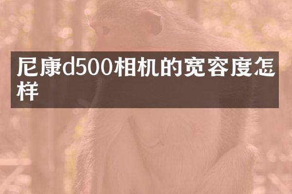 尼康d500相机的宽容度怎么样