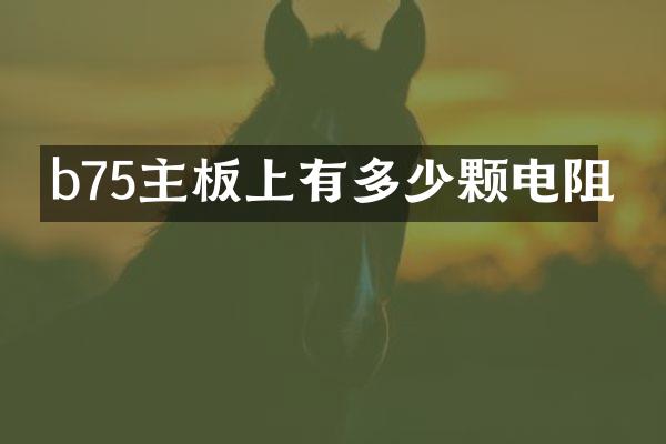 b75主板上有多少颗电阻