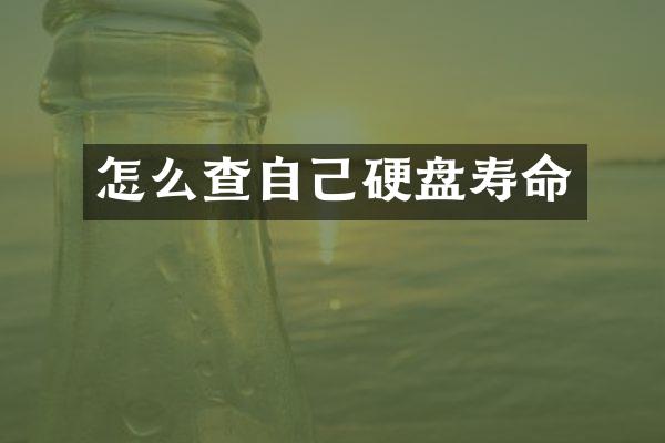 怎么查自己硬盘寿命