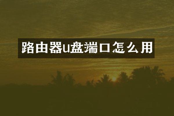 路由器u盘端口怎么用