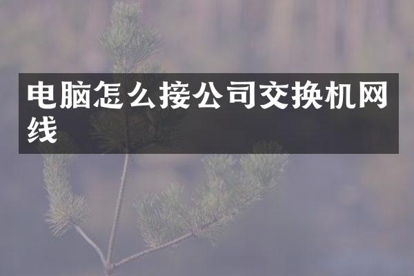 电脑怎么接公司交换机网线