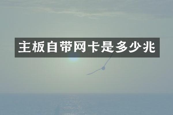 主板自带网卡是多少兆