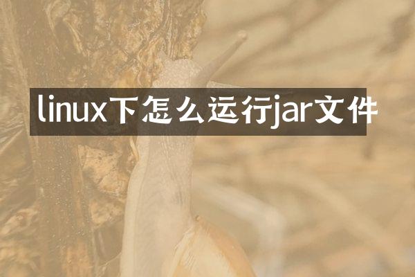 linux下怎么运行jar文件