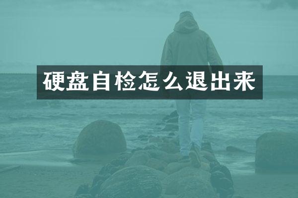 硬盘自检怎么退出来