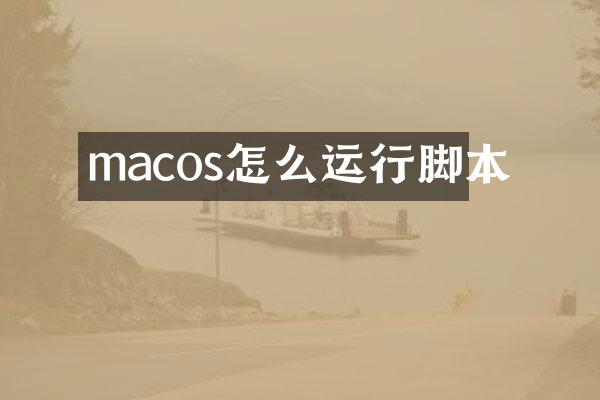 macos怎么运行脚本