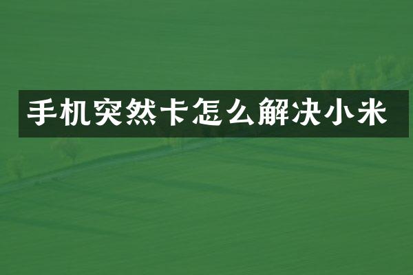 手机突然卡怎么解决小米