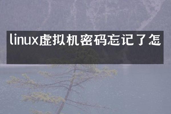 linux虚拟机密码忘记了怎么