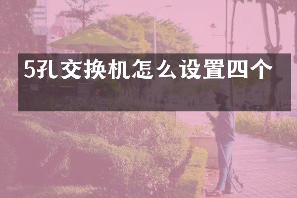 5孔交换机怎么设置四个孔