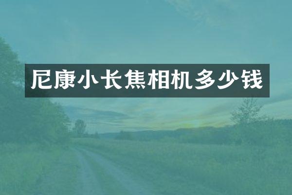 尼康小长焦相机多少钱