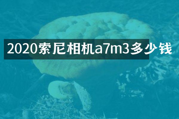 2020索尼相机a7m3多少钱