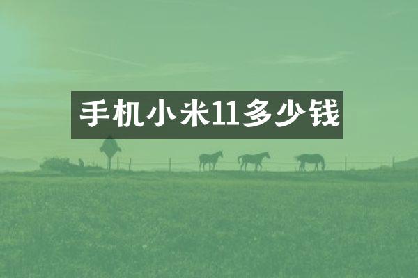 手机小米11多少钱