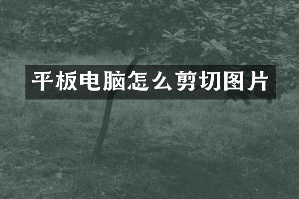 平板电脑怎么剪切图片
