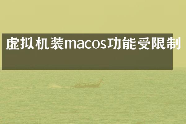 虚拟机装macos功能受限制吗