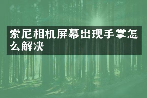 索尼相机屏幕出现手掌怎么解决