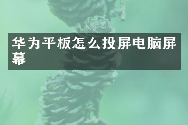 华为平板怎么投屏电脑屏幕
