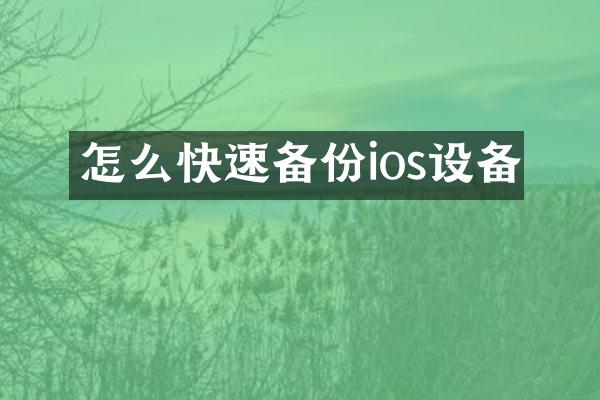 怎么快速备份ios设备