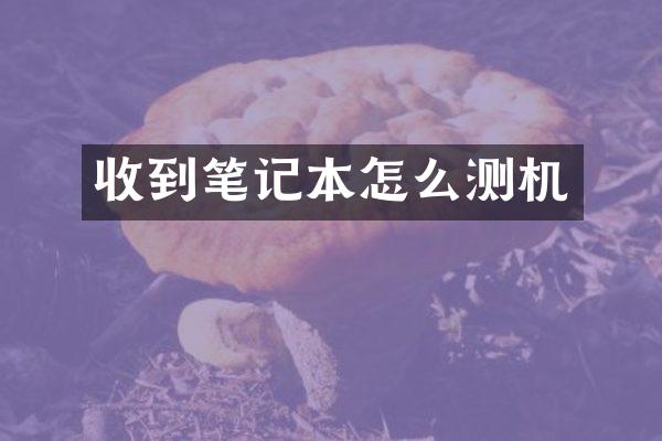 收到笔记本怎么测机