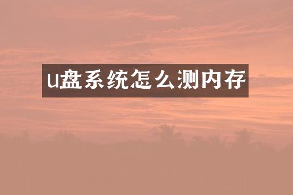 u盘系统怎么测内存