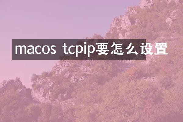 macos tcpip要怎么设置