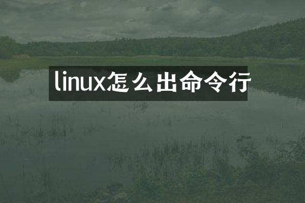linux怎么出命令行