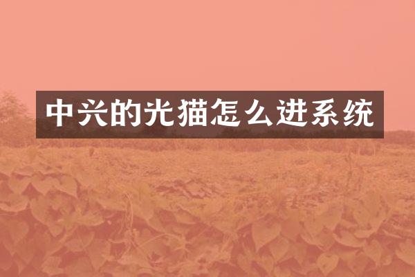 中兴的光猫怎么进系统