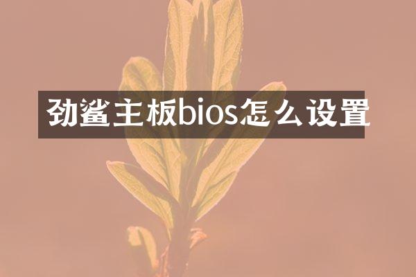 劲鲨主板bios怎么设置
