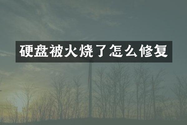 硬盘被火烧了怎么修复