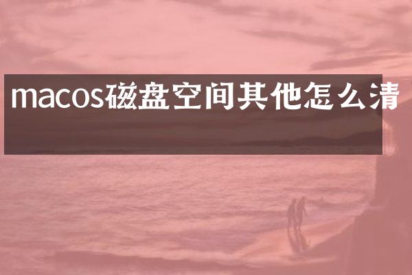 macos磁盘空间其他怎么清理