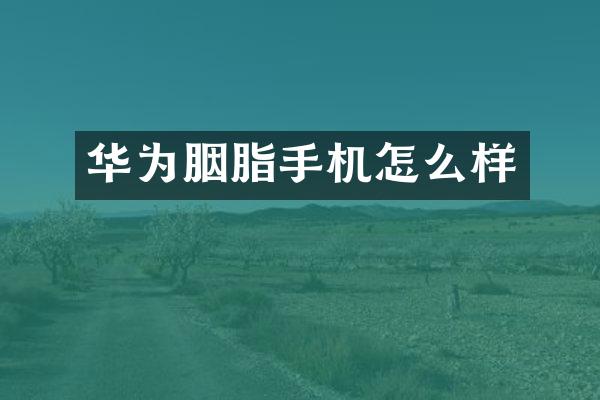 华为胭脂手机怎么样