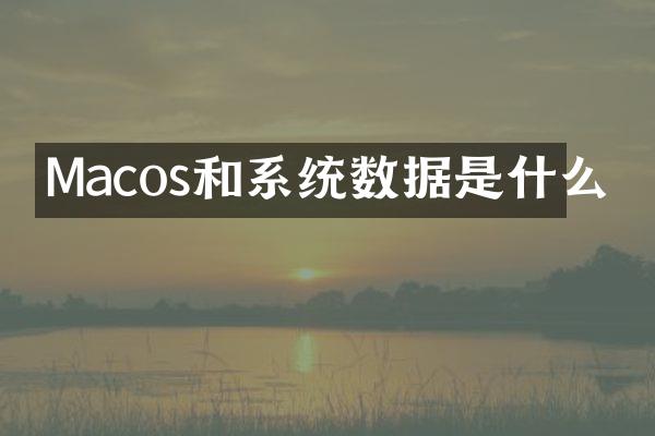 Macos和系统数据是什么