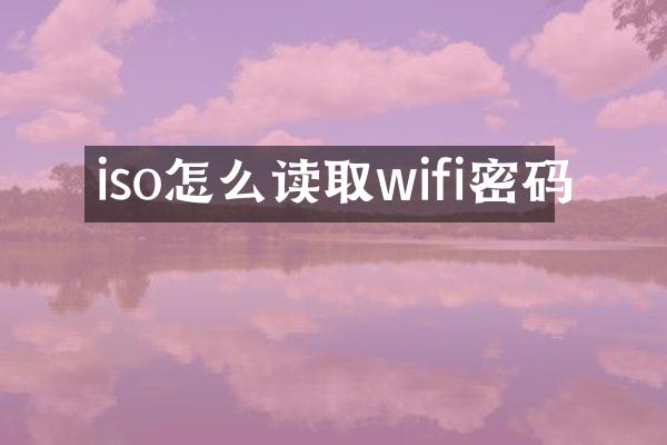 iso怎么读取wifi密码