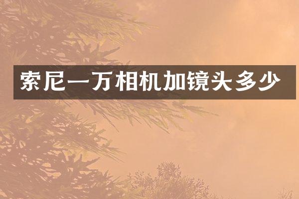 索尼一万相机加镜头多少