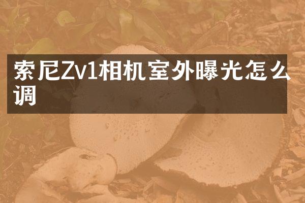 索尼Zv1相机室外曝光怎么调