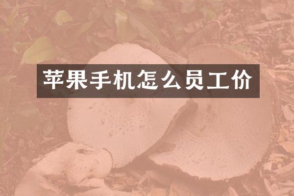 苹果手机怎么员工价